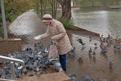 С 10 мая будет полностью бесплатно для всех пенсионеров: вводится новая долгожданная льгота