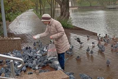 Подписан новый указ. Пенсионеров, у которых есть стаж 20-25 лет, ждет сюрприз