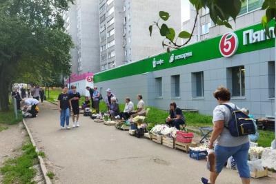 С 1 июня будет полностью бесплатно для всех пенсионеров: вводится долгожданная льгота