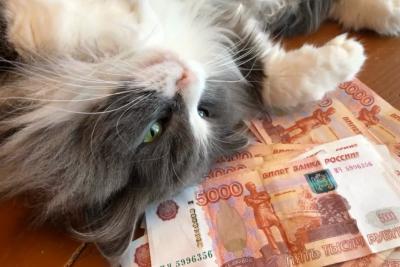 Касается всех, кто получает пенсию: размер страховых выплат изменится уже в августе - в ГД все решили