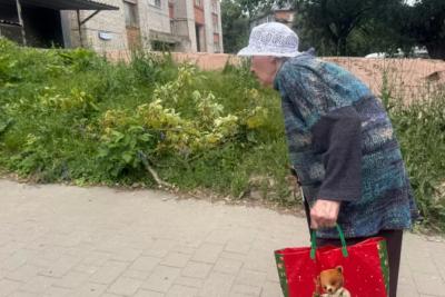 Пенсии в июле 2025: когда ждать выплаты и кто получит новую прибавку