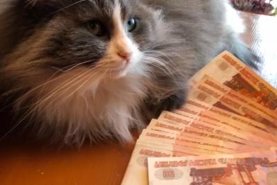 Ситуация неутешительная: ждать ли ежемесячной индексации пенсий в России? Пенсионерам объяснили