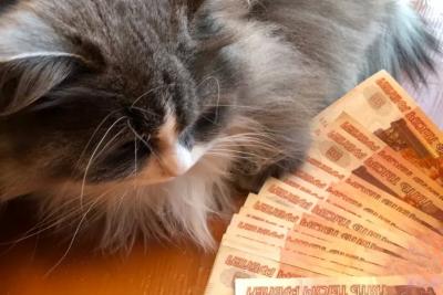 Сделали неожиданное заявление: эту сумму начислят всем пенсионерам одной категории