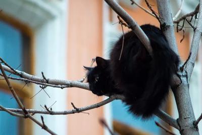 Сентябрь испытает на прочность: Василиса Володина опубликовала большой гороскоп на начало осени-2025