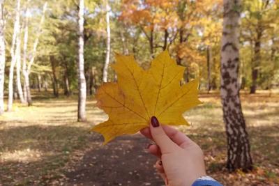 Синоптики рассказали, что будет с погодой этой осенью: такой аномальный сентябрь случался только трижды за 150 лет