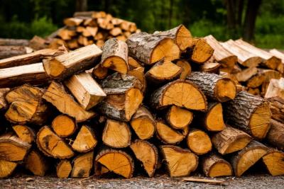 Тепло за счет государства: как законно бесплатно получить дрова для частного дома